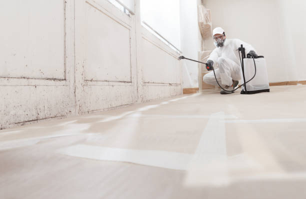 24/7 Emergency Black Mold Removal experts in Plainfield, NJ