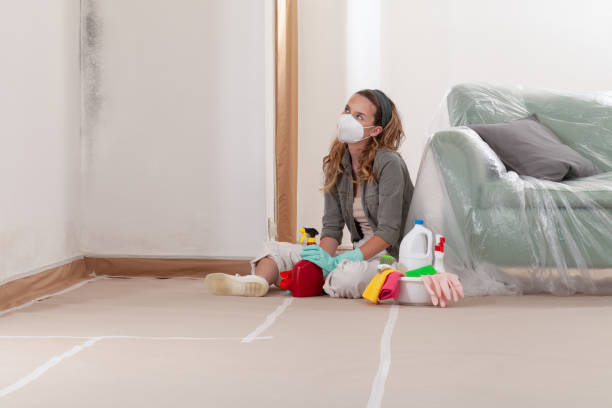 Reliable Black Mold Removal contractor in Plainfield, NJ by WQB Mold Removal